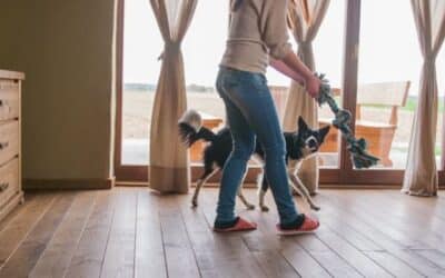 33 proste sposoby, aby Twój pies nie nudził się w domu