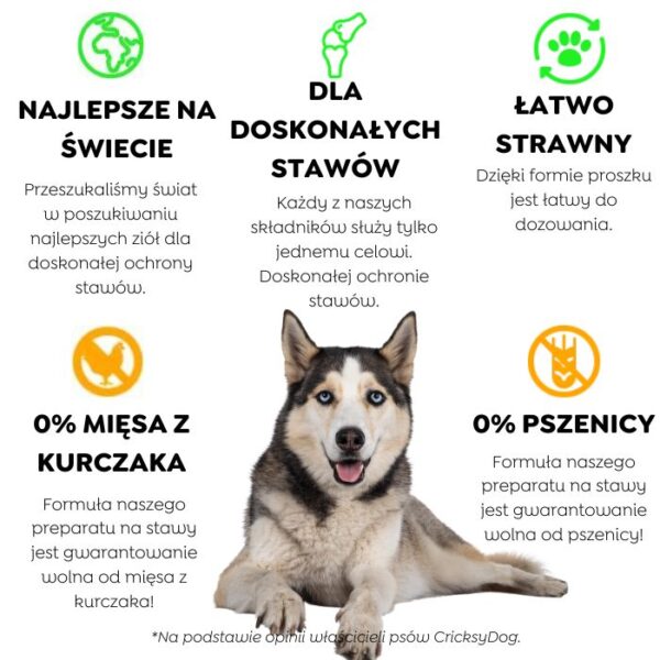 Twinky proszek na stawy z ekstraktem z małży nowozelandzkiej (z miarką) – 150 g - obrazek 4