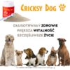 Twinky proszek na stawy z ekstraktem z małży nowozelandzkiej (z miarką) – 150 g - obrazek 6