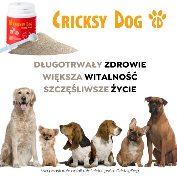 Twinky proszek na stawy z ekstraktem z małży nowozelandzkiej (z miarką) – 150 g - obrazek 6