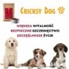 Sucha karma dla szczeniąt Chucky z jagnięciną i dziką różą - obrazek 10