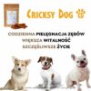 Magiczny "mini" patyczek Denty ( dla mniejszych psów) - obrazek 6