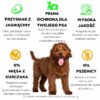 Ely Hipoalergiczna karma mokra dla psa z jagnięciną (formuła premium bez glutenu pszenicznego i mięsa z kurczaka) - 410 g - obrazek 5