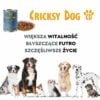 Mokra karma dla psów Ely z dzikiem, jeleniem i marchewką – 415 g - obrazek 8