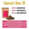 Friky Meatlover "mini" przysmaki z jagnięciny, kostki (hipoalergiczne) – 100 g - obrazek 6