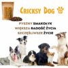 Friky Meatlover "mini" przysmaki z jelenia, kostki (hipoalergiczne) – 100 g - obrazek 7