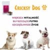 Hipoalergiczna sucha karma dla psa Juliet z jagnięciną (formuła premium bez glutenu pszenicznego i mięsa z kurczaka) - obrazek 10