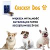 Hipoalergiczna sucha karma dla psa Juliet z łososiem (formuła premium bez glutenu pszenicznego i mięsa z kurczaka) - obrazek 9