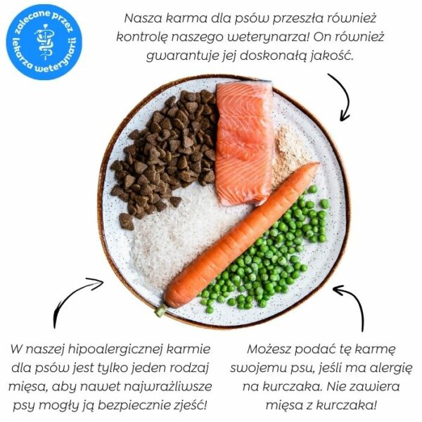 Hipoalergiczna sucha karma dla psa Juliet z łososiem (formuła premium bez glutenu pszenicznego i mięsa z kurczaka) - obrazek 4