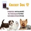 Hipoalergiczna sucha karma dla psa Juliet z wołowiną (formuła premium bez glutenu pszenicznego i mięsa z kurczaka) - "ekstra małe granulki" - obrazek 10