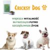 Juliet Hipoalergiczna Plus sucha karma dla psów na bazie białka owadziego z żurawiną i ekstraktem z yucca (formuła premium bez glutenu pszenicznego i mięsa z kurczaka) – „dla najwrażliwszych psów” - obrazek 9