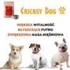 Karma dla psa Juliet z wołowiną - obrazek 10