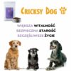 Hipoalergiczna sucha karma Oscar z wołowiną dla psów seniorów (formuła premium bez glutenu pszenicznego i mięsa z kurczaka) - obrazek 8