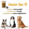 Sucha karma dla psa Ted z jagnięciną i ryżem - obrazek 10
