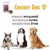 Hipoalergiczna sucha karma dla psa Ted z jagnięciną (formuła premium bez glutenu pszenicznego i mięsa z kurczaka) - obrazek 10