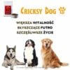 Hipoalergiczna sucha karma dla psa Ted z wołowiną (formuła premium bez glutenu pszenicznego i mięsa z kurczaka) - obrazek 9