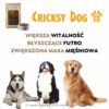 Sucha karma dla psów z wołowiną Ted - obrazek 9