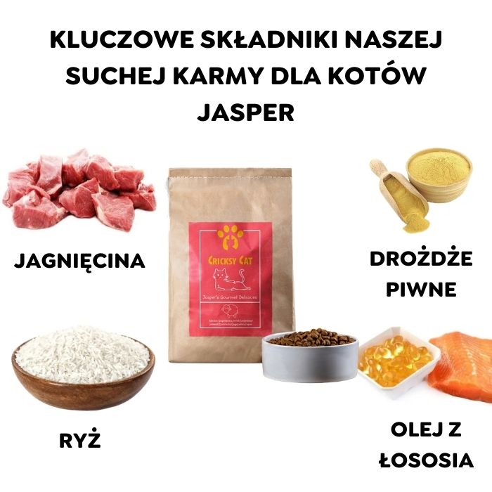 Jasper Sucha Karma dla Kotów z Jagnięciną 4 Jasper Sucha Karma dla Kotów z Jagnięciną - obrazek 4