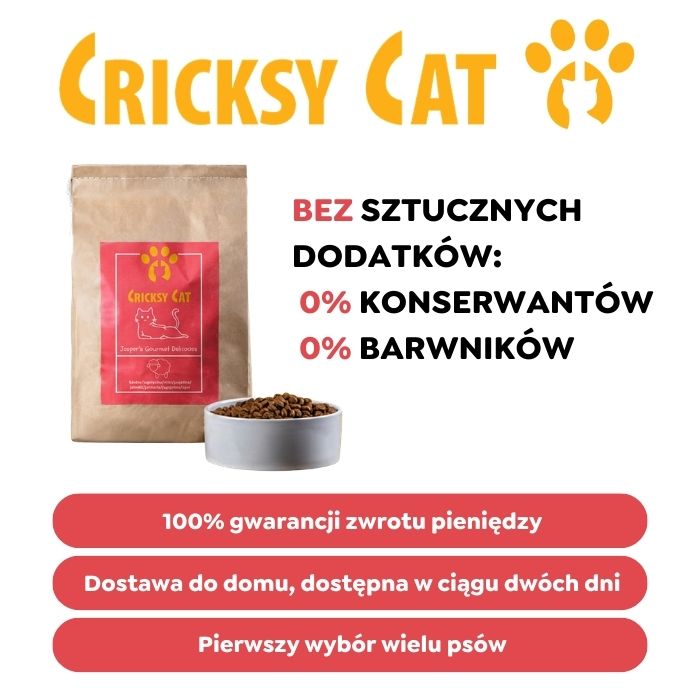 Jasper Sucha Karma dla Kotów z Jagnięciną 7 Jasper Sucha Karma dla Kotów z Jagnięciną - obrazek 7