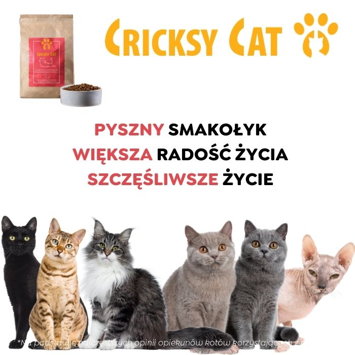 Jasper Sucha Karma dla Kotów z Jagnięciną 9 Jasper Sucha Karma dla Kotów z Jagnięciną - obrazek 9