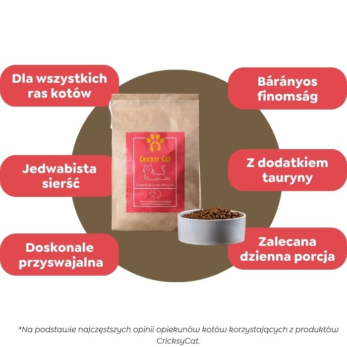 Jasper Sucha Karma dla Kotów z Jagnięciną 5 Jasper Sucha Karma dla Kotów z Jagnięciną - obrazek 5
