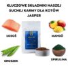 Jasper hipoalergiczna sucha karma dla kotów z łososiem (formuła premium bez glutenu pszenicznego i mięsa z kurczaka) - obrazek 2