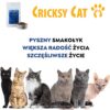 Jasper hipoalergiczna sucha karma dla kotów z łososiem (formuła premium bez glutenu pszenicznego i mięsa z kurczaka) - obrazek 8