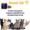 Bill mokra karma dla kotów z łososiem, pstrągiem i borówkami – 100 g - obrazek 8