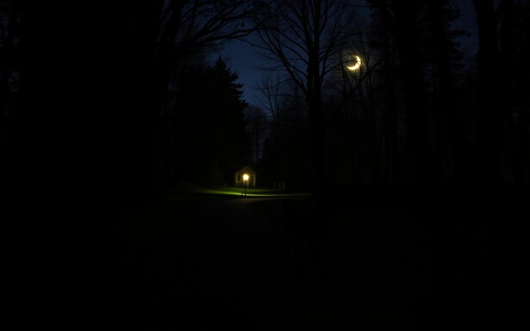 Nocna wędrówka z psem