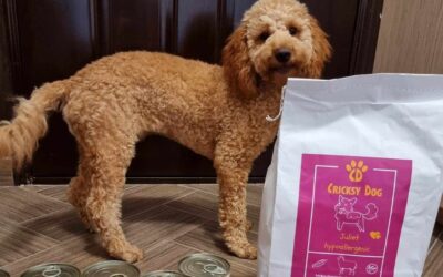 Dla alergicznych psów: Juliet vs Royal Canin Hypoallergenic