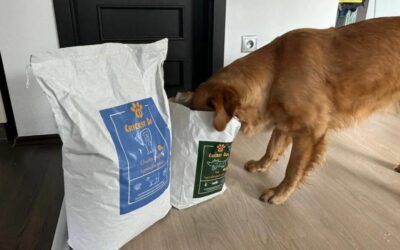 Juliet vs Royal Canin – opinie