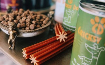Twinky na stawy dla aktywnych psów – działa?