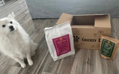 CricksyDog vs domowe gotowanie – co bardziej wygodne?