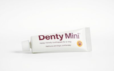 Denty Mini – opinie po dłuższym używaniu