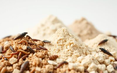 Hipoalergiczne białko owadów – czym różni się od innych hipoalergicznych karm?
