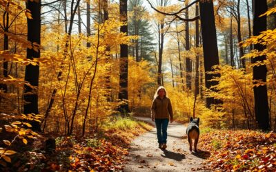 Magazyn Internetowy 16 Wędrówki z psem po lesie – jesienne zasady podstawowe