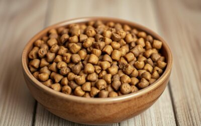 Przetestowaliśmy karmę z białkiem owadów CricksyDog – szczegółowy test i opinia