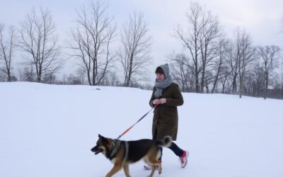 Jak długo spacerować z psem zimą?