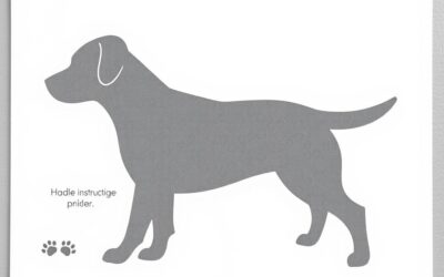 Etykieta transportowa psa – Wszystko, co musisz o tym wiedzieć!