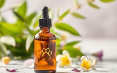 Oleje eteryczne odstraszające pchły dla kota – Wszystko, co musisz o tym wiedzieć!