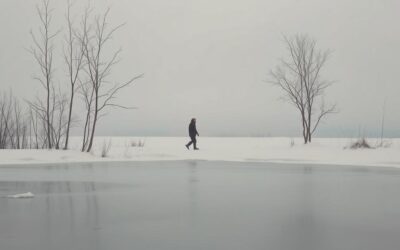 Blog o kotach 23 Karma sucha czy mokra zimą?