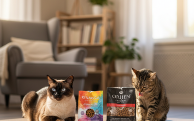 Dla kotów z problemami sierści: CricksyCat vs Orijen Skin & Coat