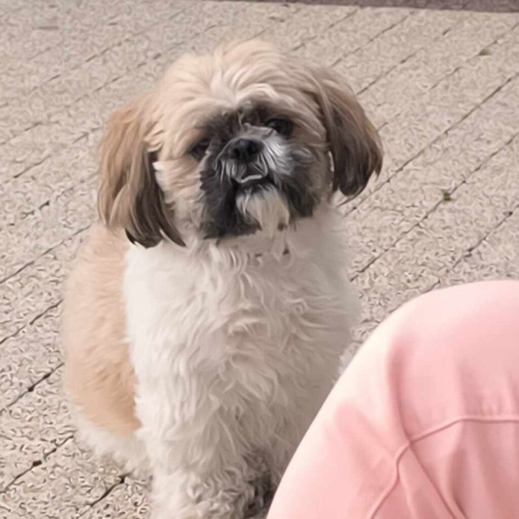 Obrazek #1 z Grazyna Bartczak