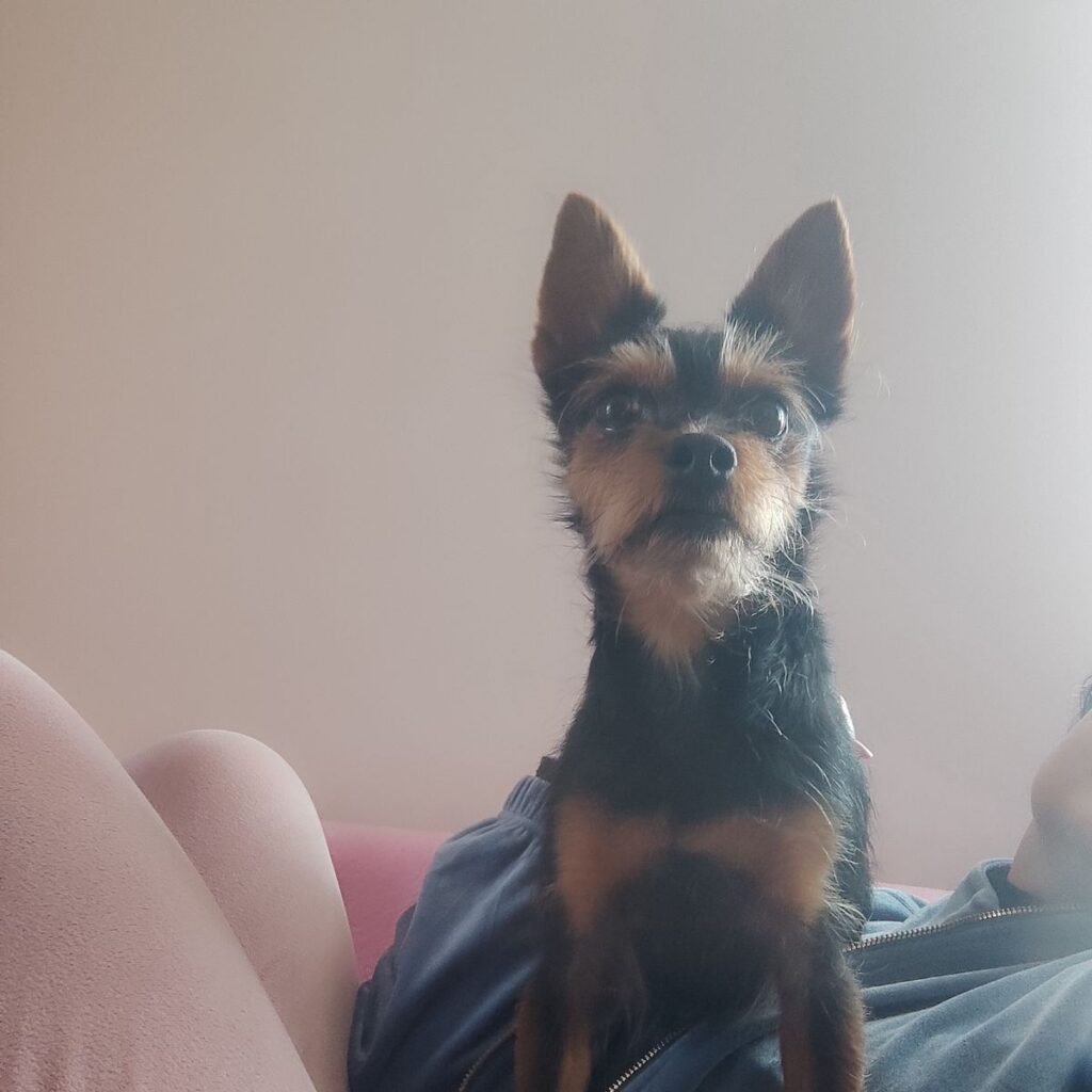 Obrazek #2 z Agnieszka Andrysiak