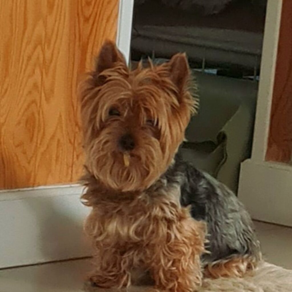 Obrazek #1 z Agata Rosłaniec