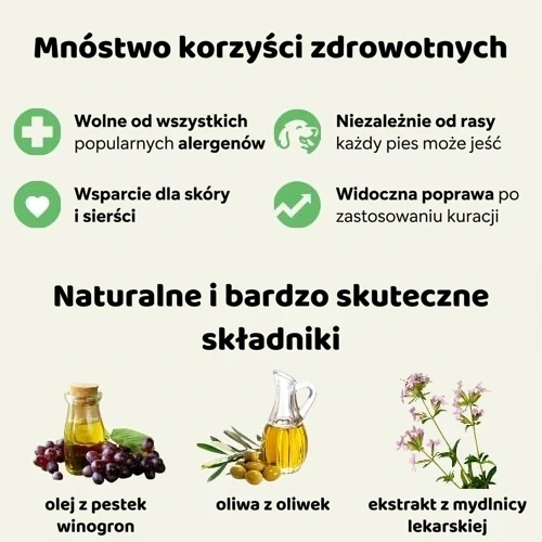 Balsam ochronny do łap i nosa Chloé: bezzapachowy - 50 ml 2 Balsam ochronny do łap i nosa Chloé: bezzapachowy - 50 ml - obrazek 2