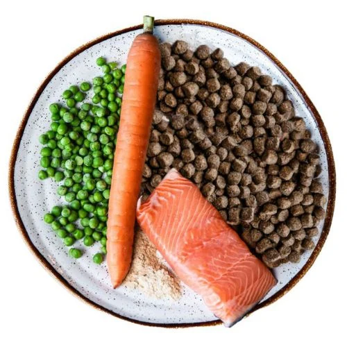 pl 2025 09 CC JHL cat food