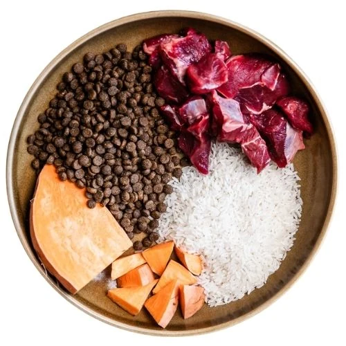 pl 2025 09 CHM dog food