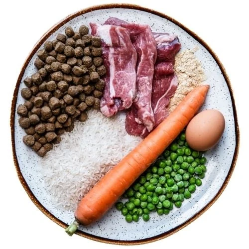 pl 2025 09 JHB dog food