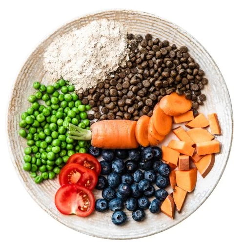 pl 2025 09 JHR dog food